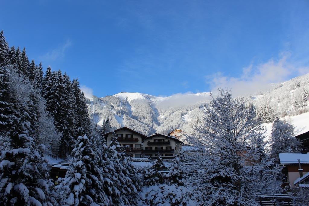 Schmitten 62 *